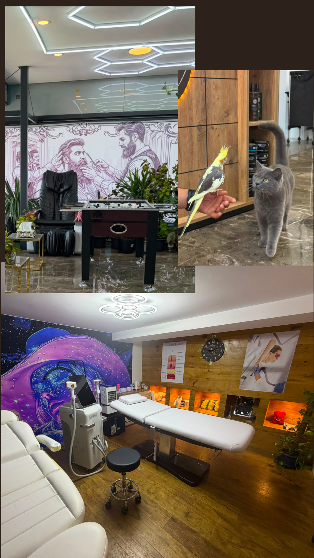 Alpen Beauty Salon Interieur